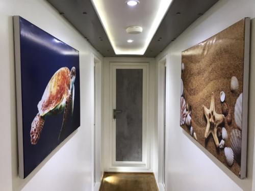 Gangway at cabin level